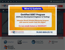 Tablet Screenshot of mindqsystems.com